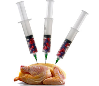 The Dangerous Effects from Antibiotic Use on Animals 